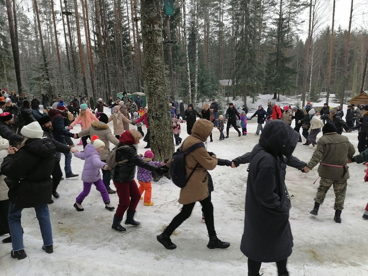 фото взяты из интернета сообщества Крины