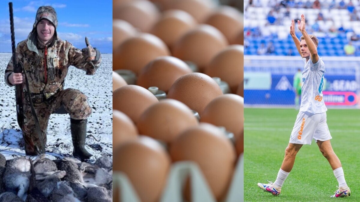    Фото: Вячеслав Евдокимов / ФК «Зенит»; ФК «Ростов»; соцсети Дмитрия Воробьева; соцсети Максима Глушенкова; соцсети Александра Селихова