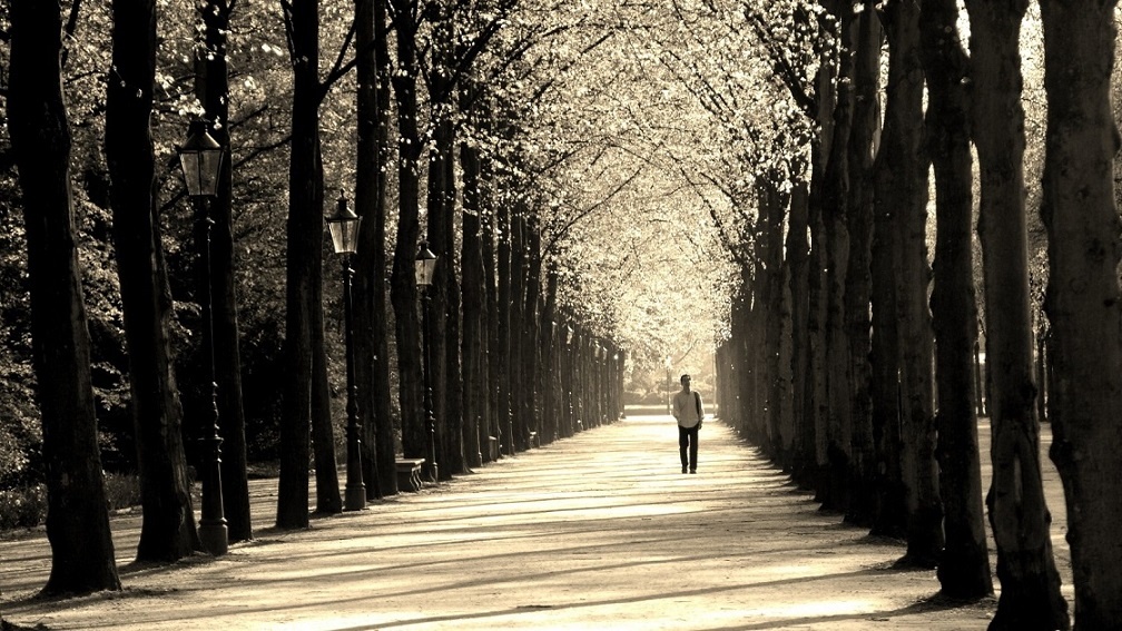 Изображение из открытых источников