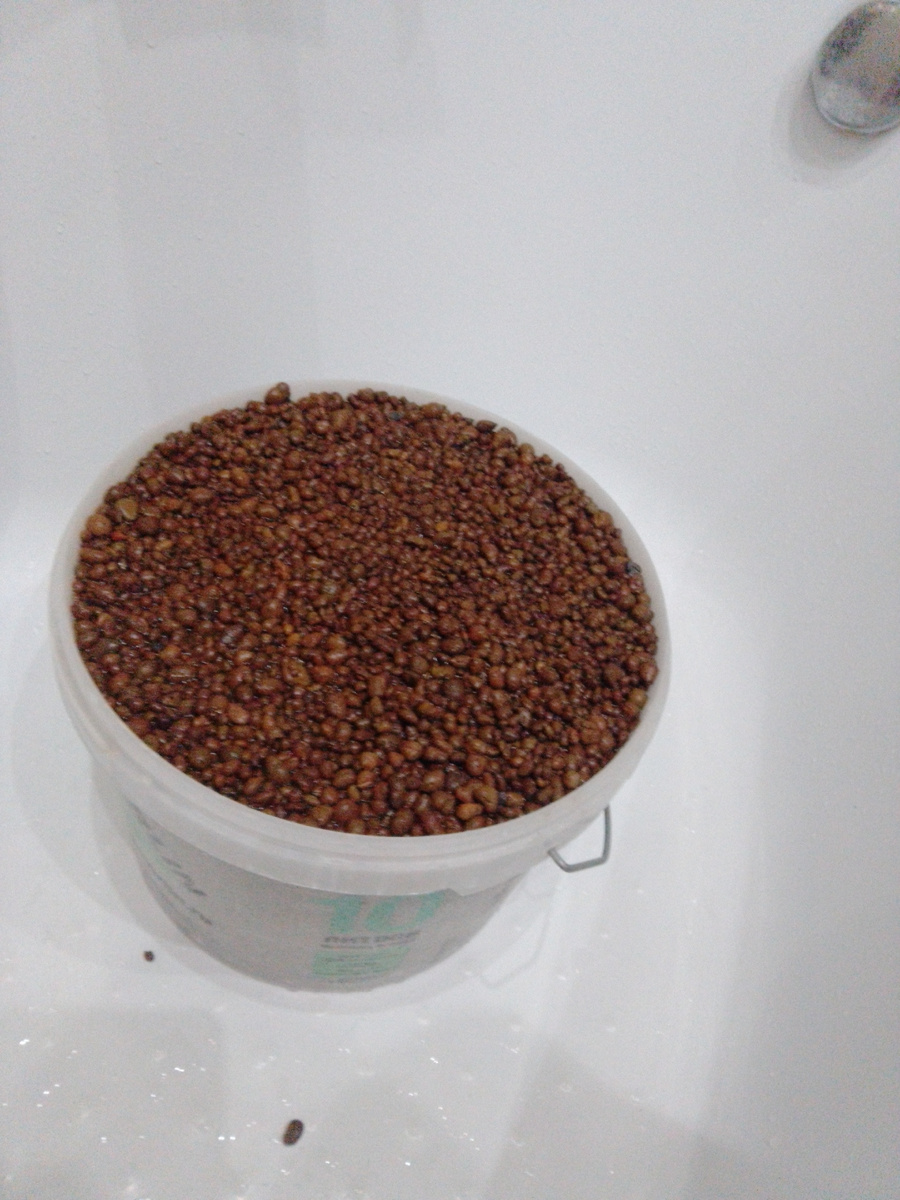 Керамзит в таком виде похож на кроличьи какашки...