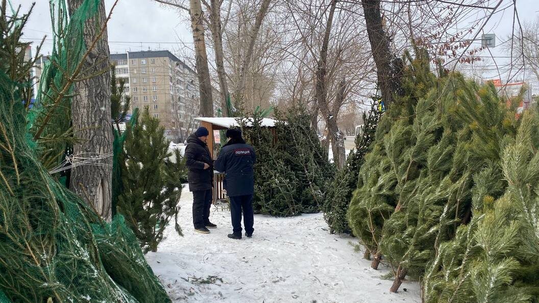    Фото: пресс-служба ГУ МВД России по Челябинской области.