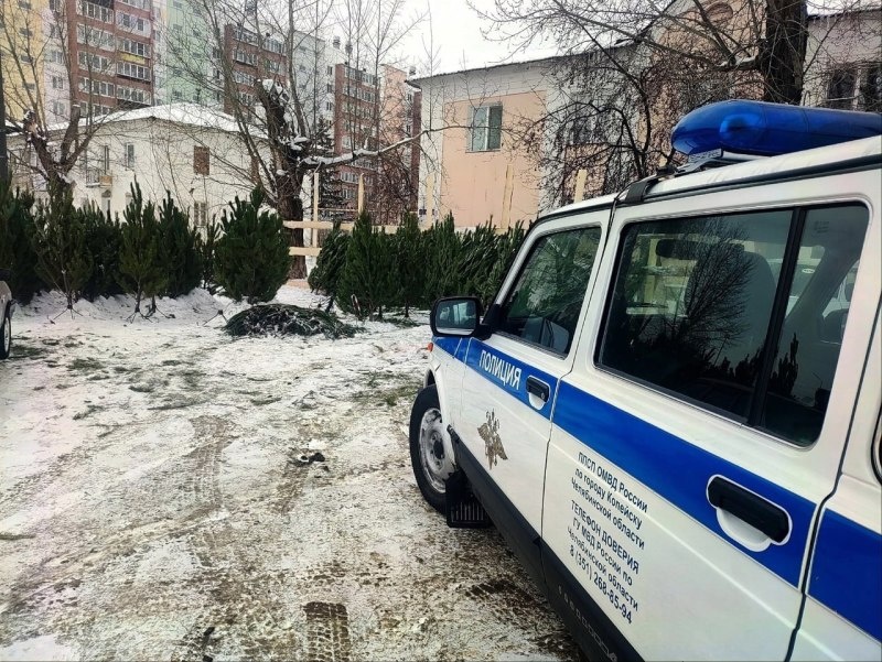     Фото: пресс-служба ГУ МВД по Челябинской области.