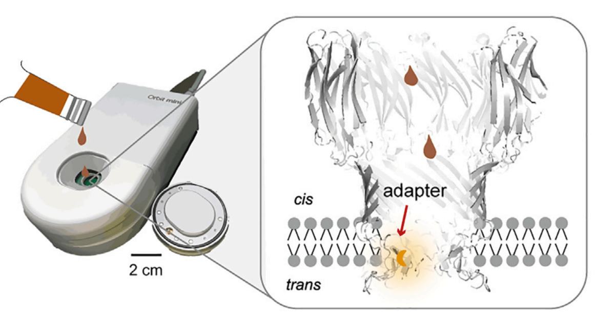 Вся установка для нанопор может быть портативной и содержать несколько каналов для высокопроизводительного анализа. Источник: Matter