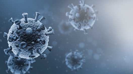 https://news.cgtn.com/news/2021-08-08/U-S-virologists-synthesized-infectious-SARS-like-coronavirus-in-2008-12yb9KqeqXu/img/7f344ad95ba440cfad5eb6a4218a0fb6/7f344ad95ba440cfad5eb6a4218a0fb6.jpeg https://news.cgtn.com/news/2021-08-08/U-S-virologists-synthesized-infectious-SARS-like-coronavirus-in-2008-12yb9KqeqXu/p.html 