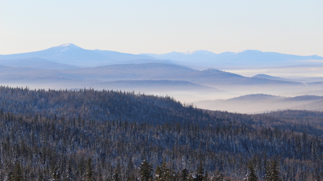    Фото: Царьград/Санкт-Петербург