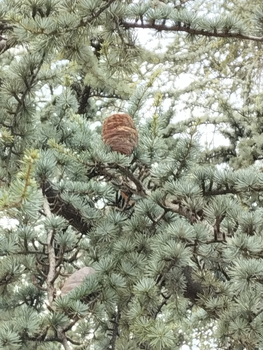 Просто фото