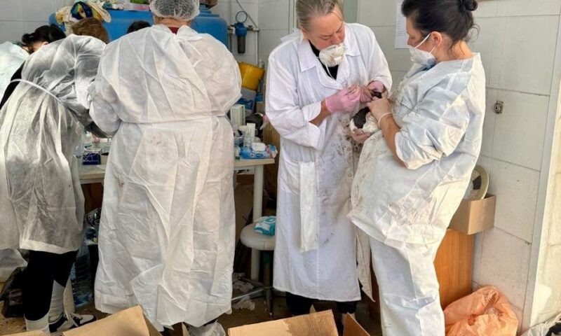    Фото пресс-службы администрации Краснодарского края