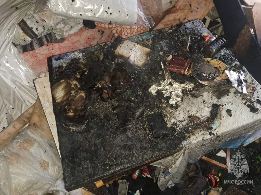    Фото: УМВД России по Курской области