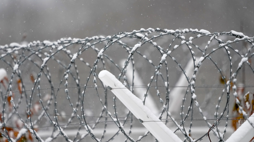    Фото: ИЗВЕСТИЯ/Дмитрий Коротаев