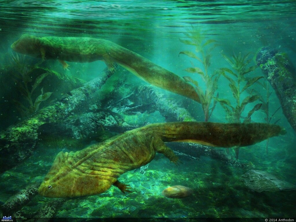 - Да, мы плавали везде и всегда, до конца перми по крайней мере!