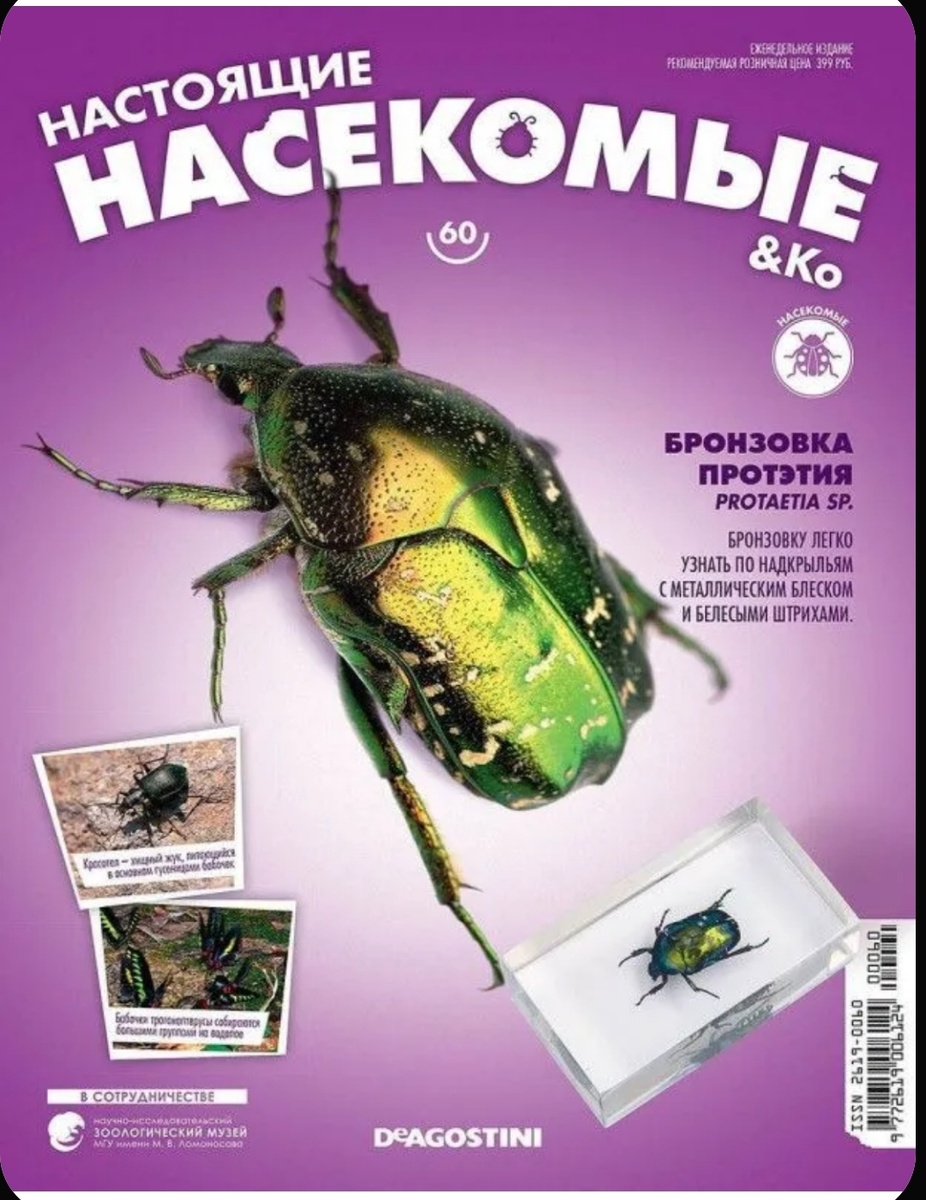 Познавательно и с насекомыми внутри 