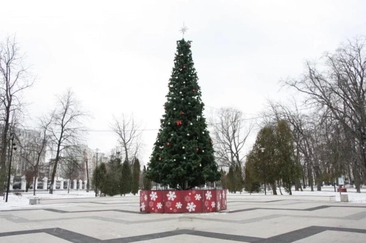    Новый год в Рязани.