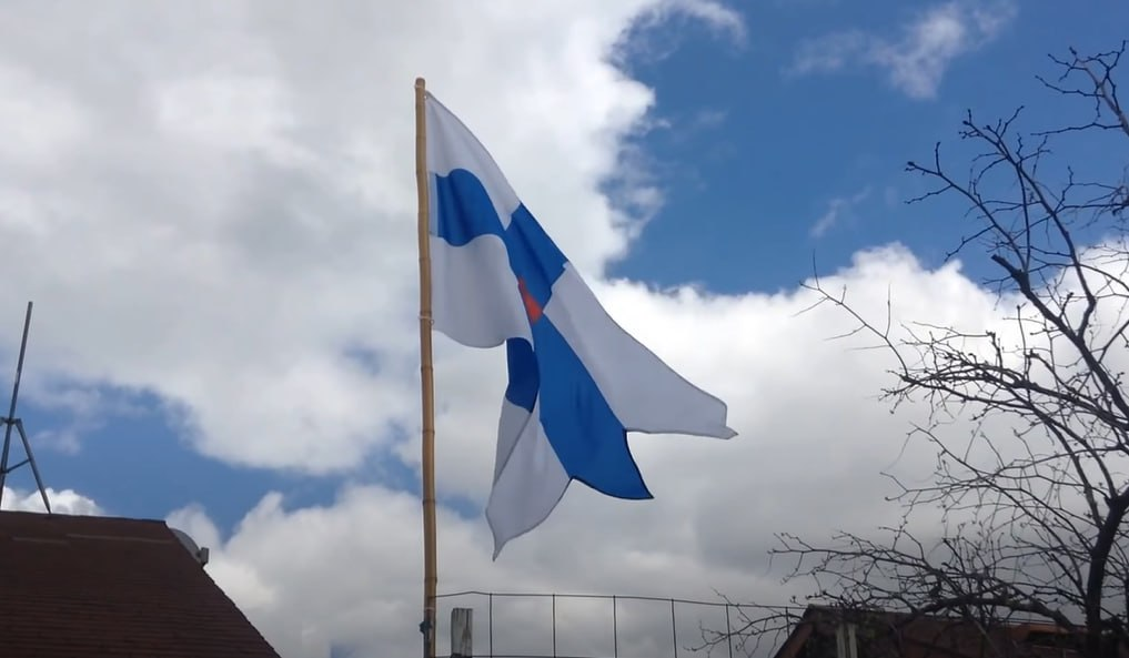 Фото: Prt Scr youtube.com / Green Cobra