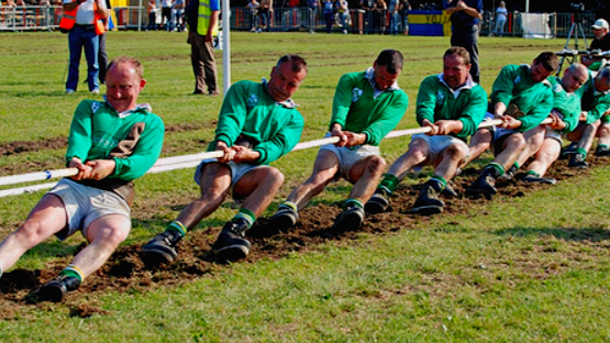 Фото из интернета