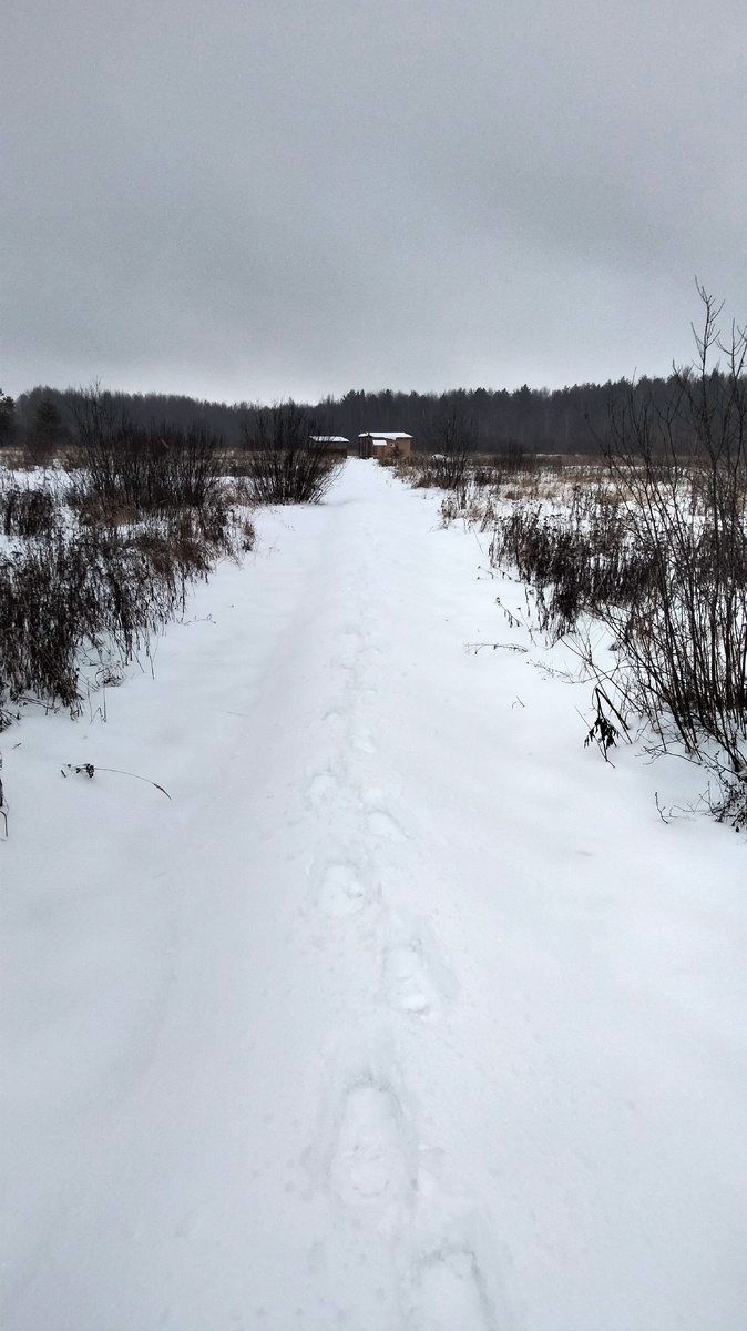 Нахожусь в точке между домиком и столбом с электрощитом