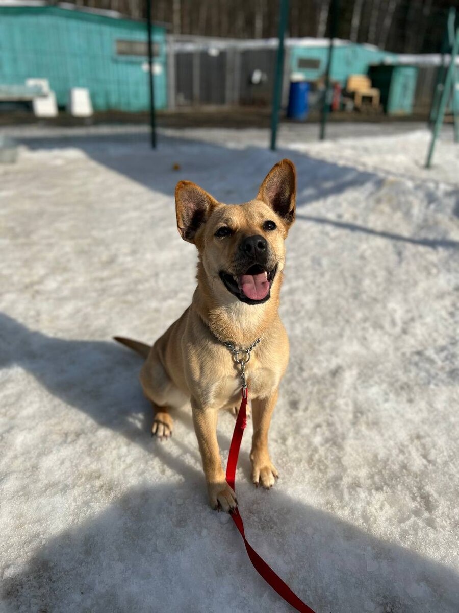 Ну а как они могли ещё меня назвать? Тут без вариантов, Я - Милашка!