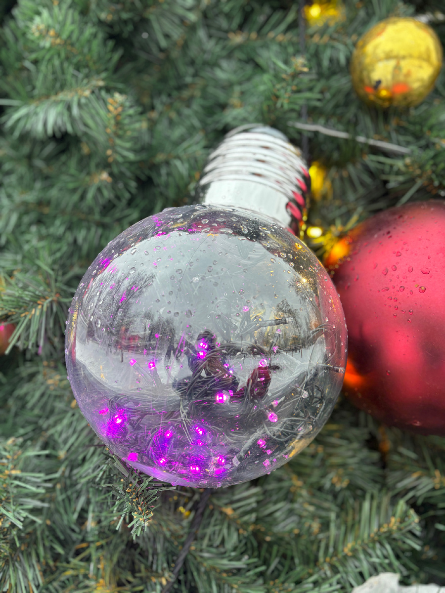 Фото автора. Вокруг много красивого, замечаем ли мы это на бегу? 