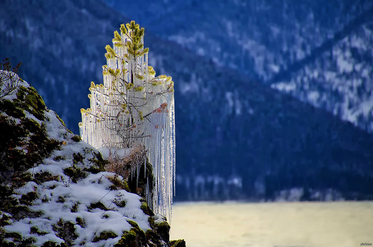 Телецкое озеро, 
Алтай
Алтай, телецкоеозеро.р