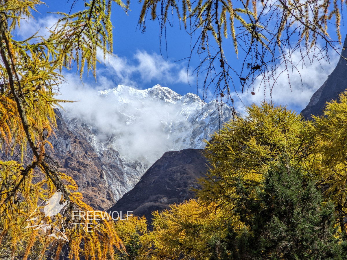 Золотая осень на треке к Канченджанге.