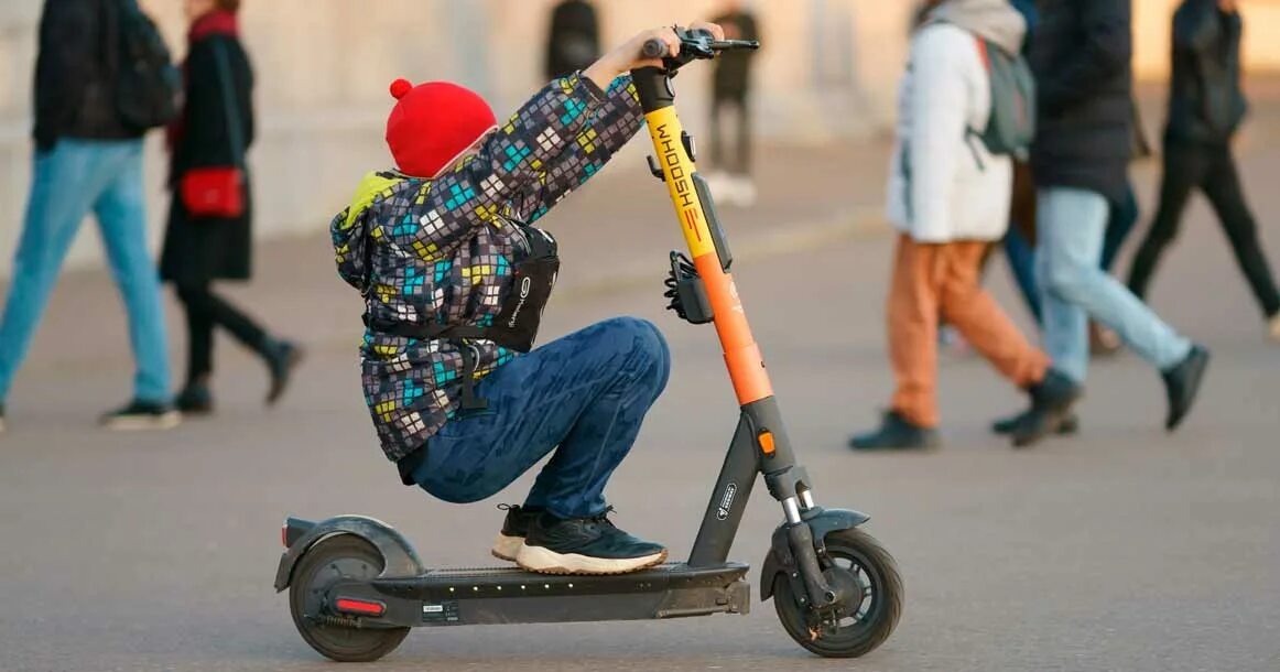 Фото взято из открытых источников. 