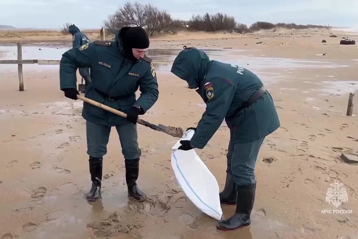    В станице Благовещенской от мазута очистили 3 километра пляжных территорий