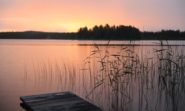 Фотограф: Pixabay: https://www.pexels.com/ru-ru/photo/210288/ 