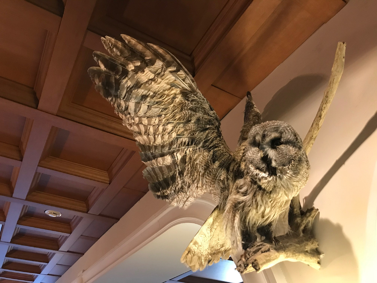 Вся наша жизнь - игра