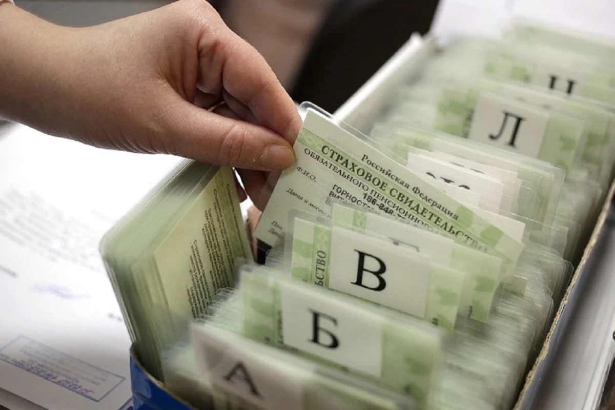 СНИЛС как источник информации о доходах