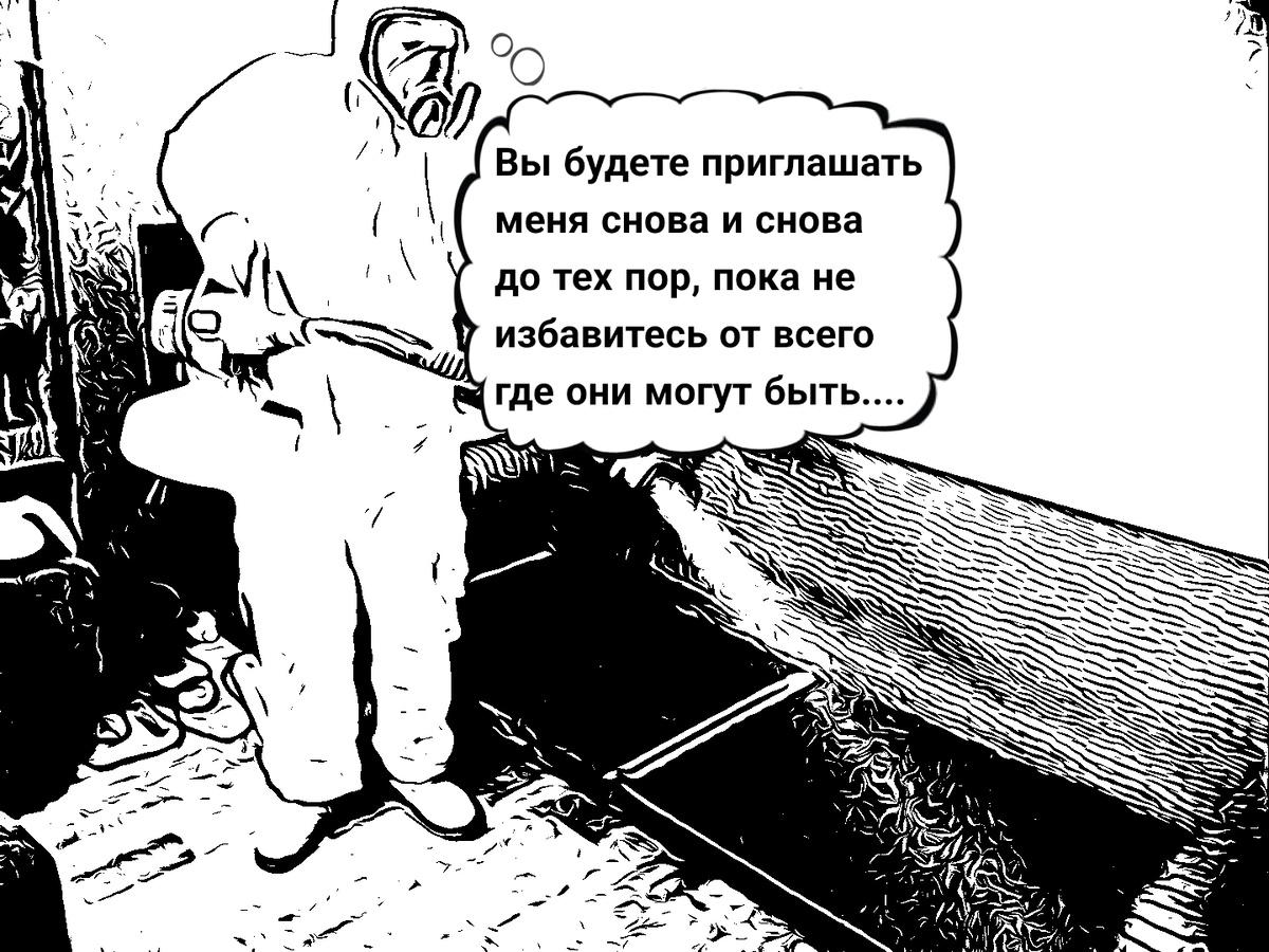 Пустая трата денег