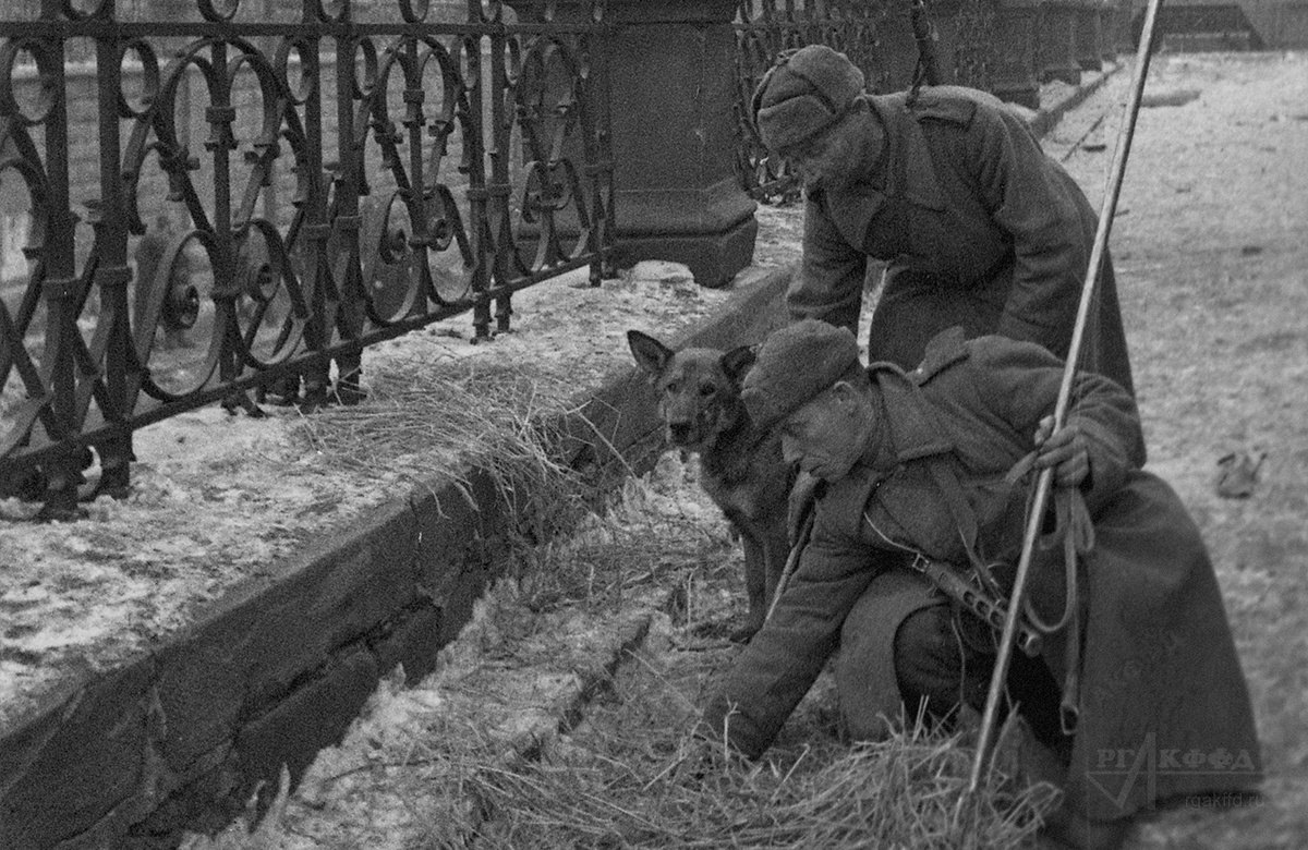 Советские саперы разминируют улицу освобожденного города Кракова. / Польша. 1945 г. / РГАКФФД. Арх.№ 0-110174