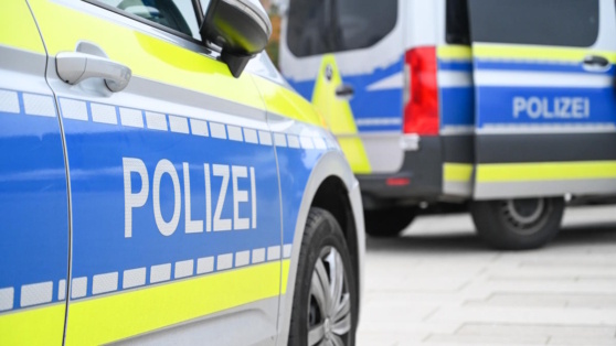    Саудовская Аравия предупреждала Германию о подозреваемом в наезде на рождественской ярмарке Богдан Герцен