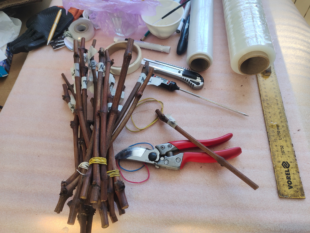 Рабочий стол 