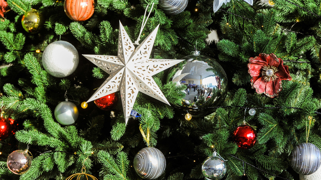    Фото: Vadim Akhmetov/Globallookpress