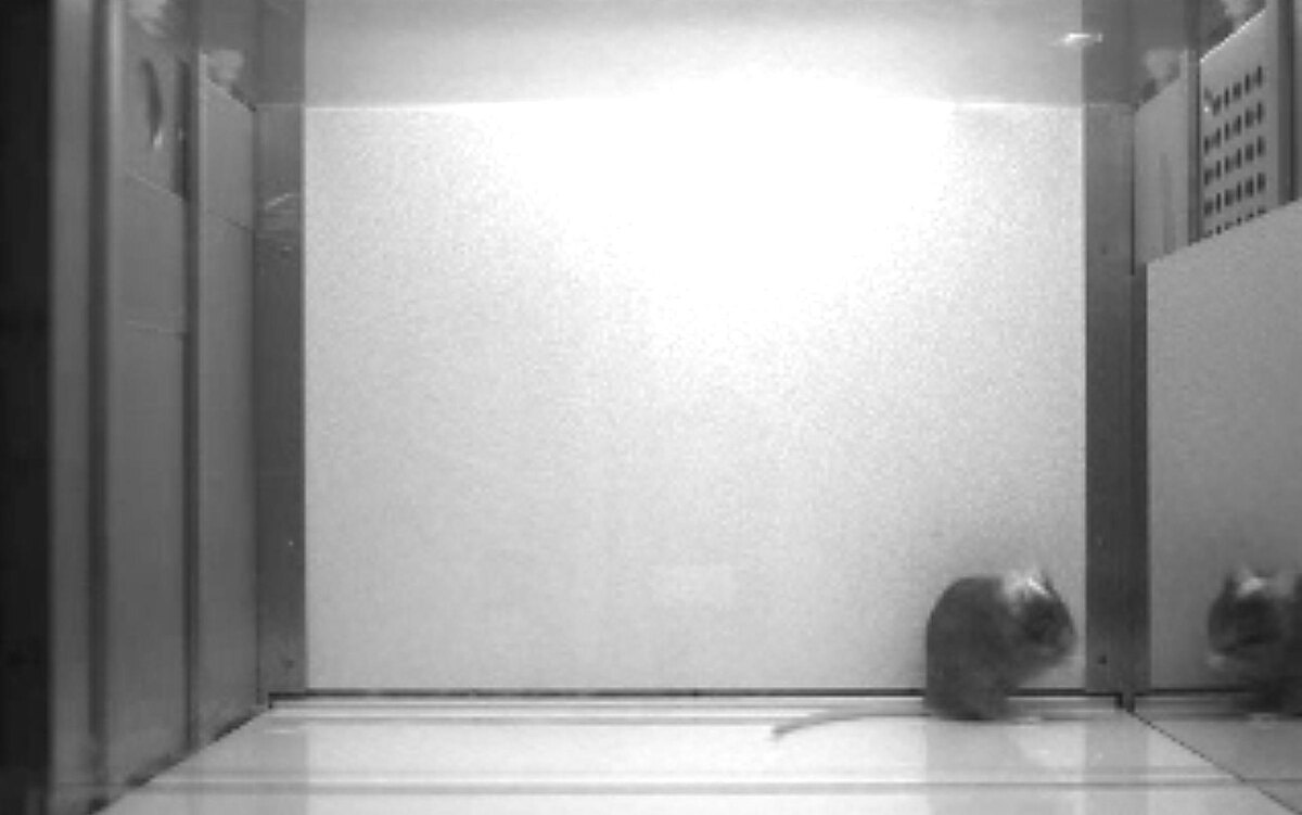 фото из источника