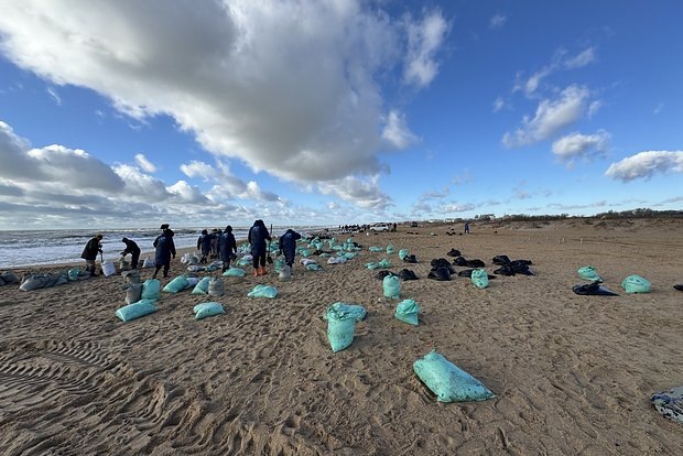 Фото: движение "Экосистема"