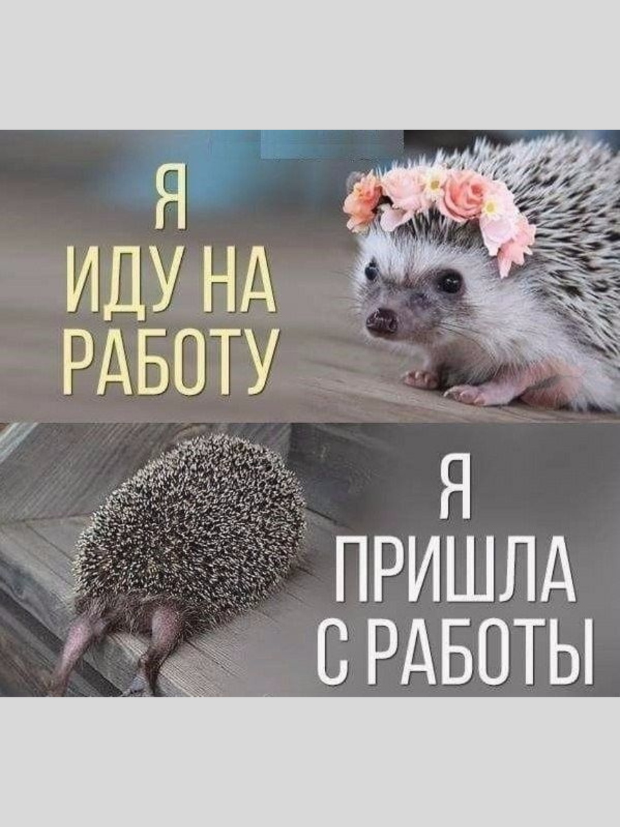 Ровной дороги картинки