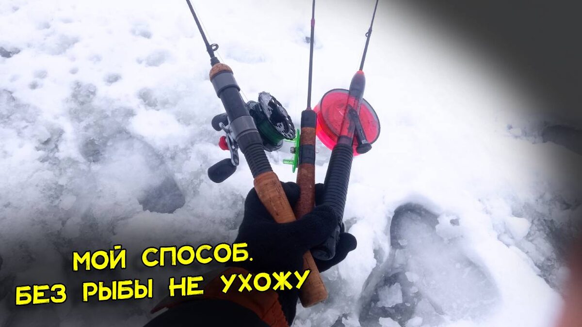 Никогда без рыбы не прихожу