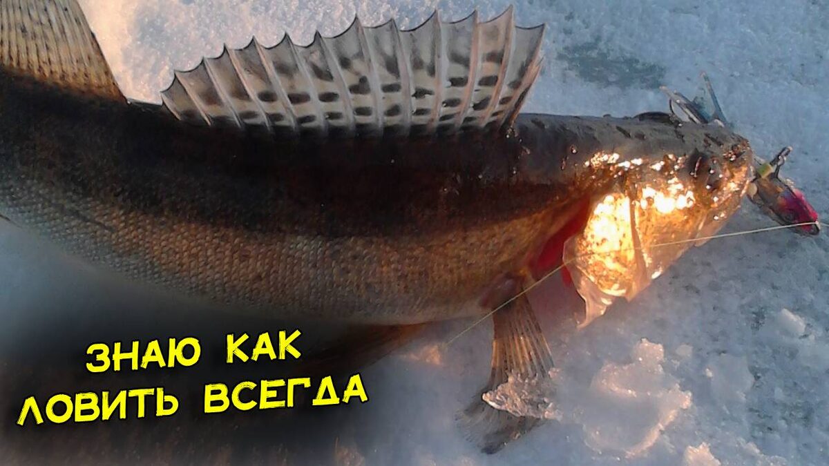 На балансир ловлю часто, но блесна на первом месте. Ниже крупный на этот же балансир