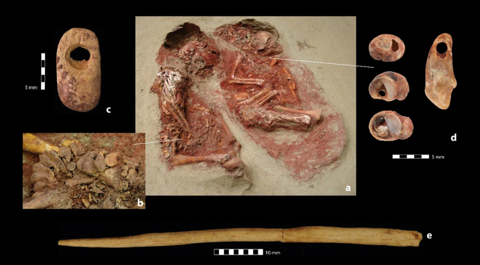 Двойное детское захоронение (a), бусины из кости мамонта (b, c), подвески из раковин улиток и лисьего зуба (d), артефакт из кости мамонта, найденный в одиночном захоронении (e). Источник: Austrian Academy of Sciences; Maria Teschler-Nicola et al. / Communications Biology, 2020