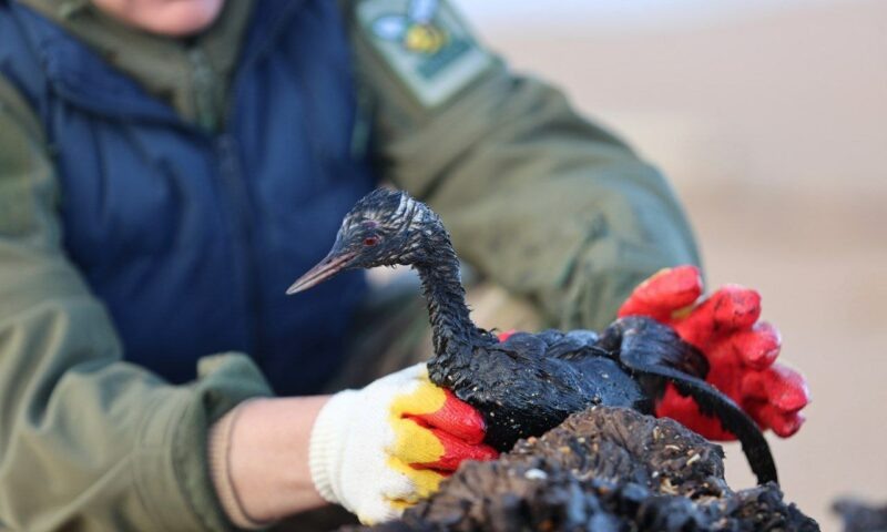    Фото t.me/opershtab23