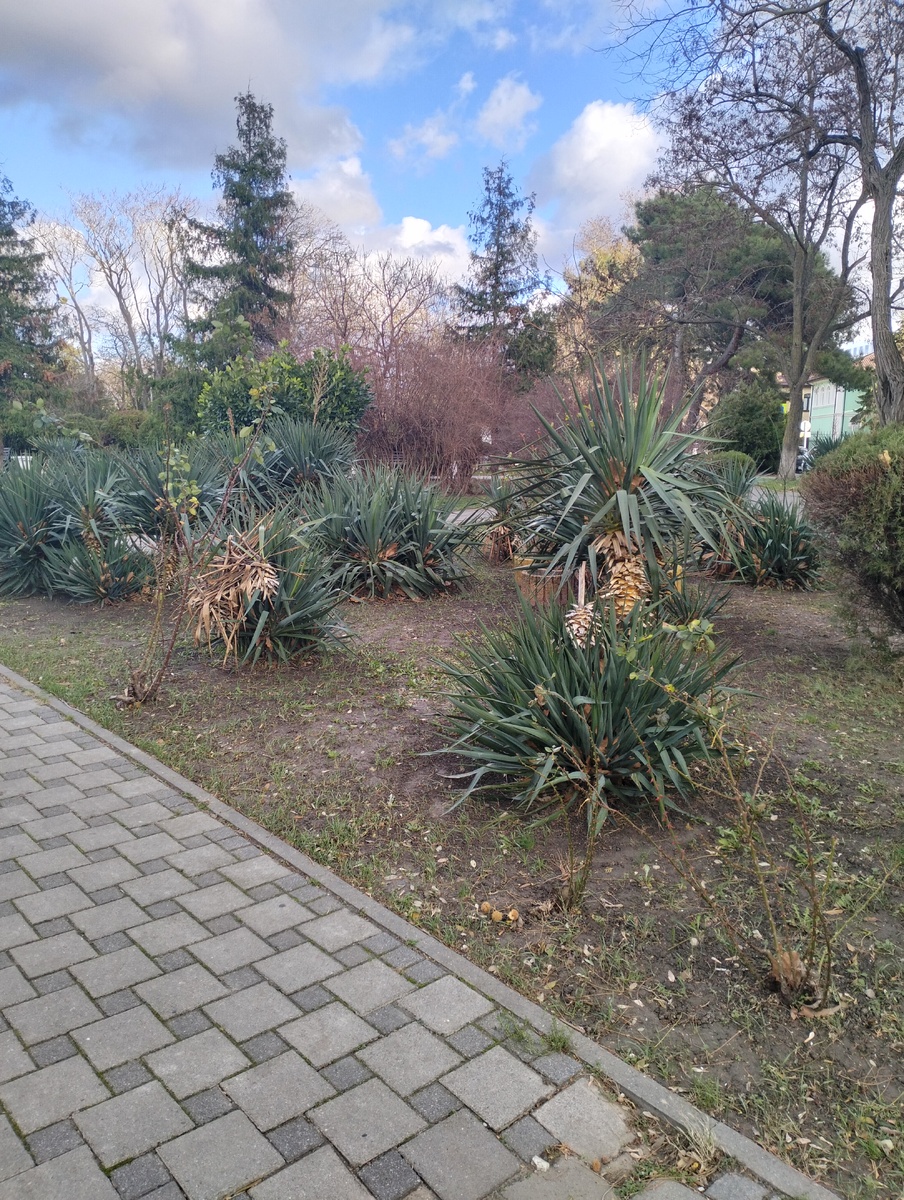 Очень тепло пока