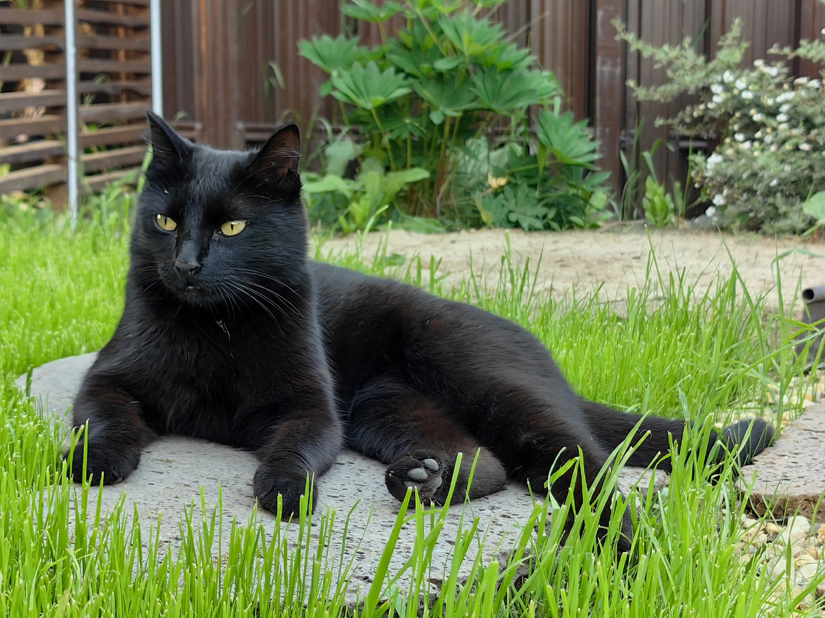 Лже-Миюша гроза района