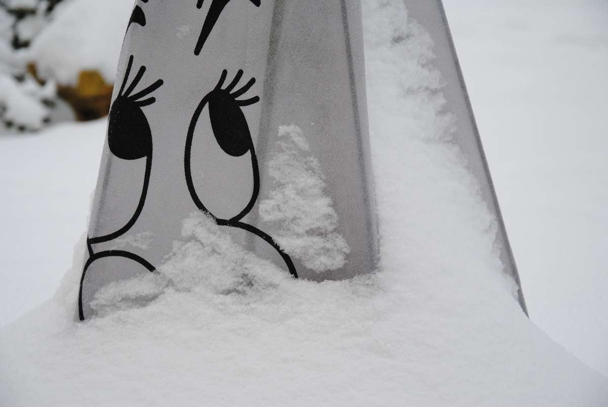 Мой сад зимой 2024\2025