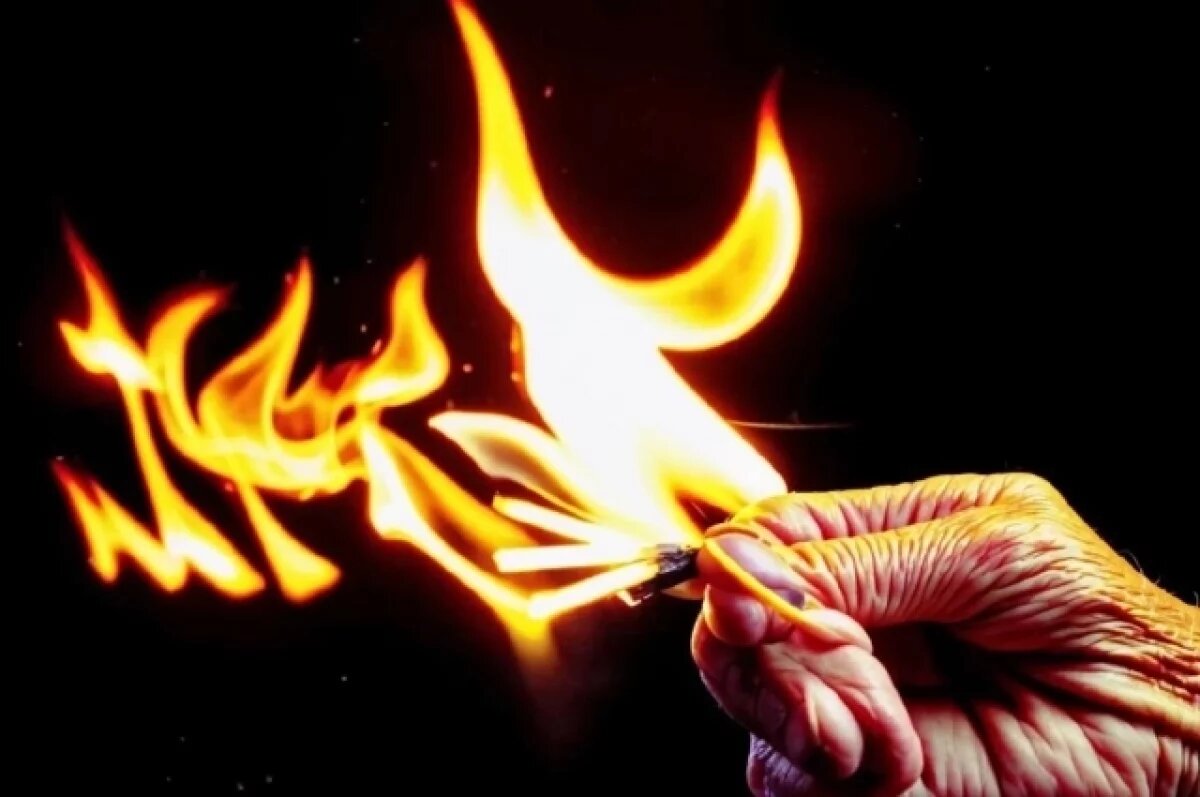    Действия двух поджигавших полицейский УАЗик петербурженок попали на видео