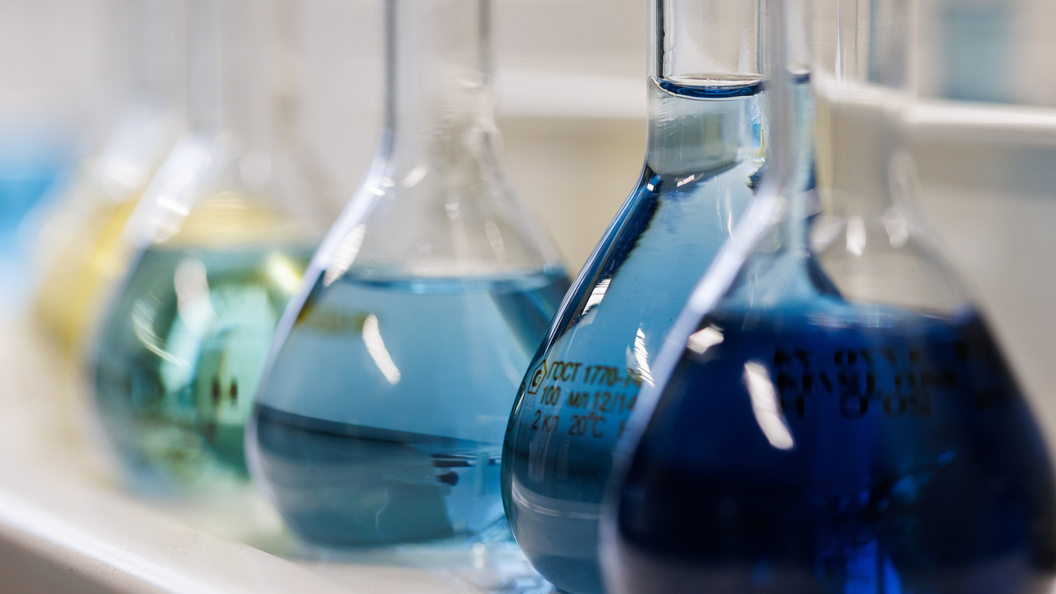    Фото: Sergey Elagin/Globallookpress