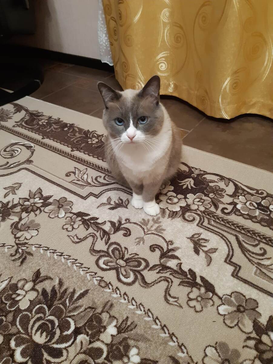 Ты, что, забыл? Время игр пришло.