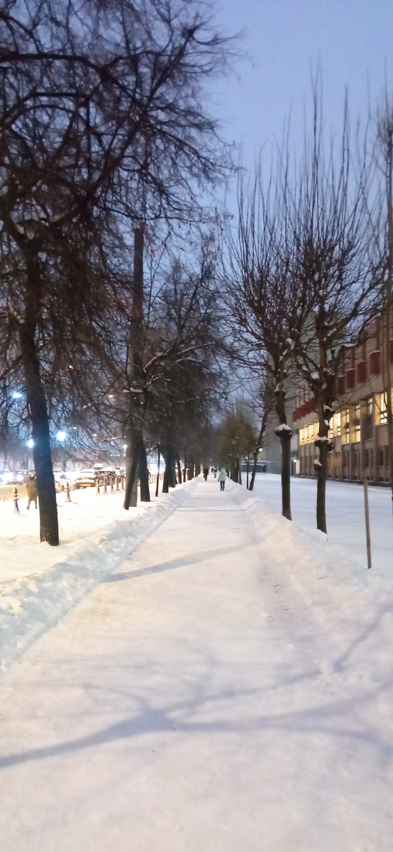 Декабрьский вечер