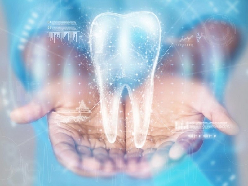    В Японии начались тесты лекарства для роста новых зубов