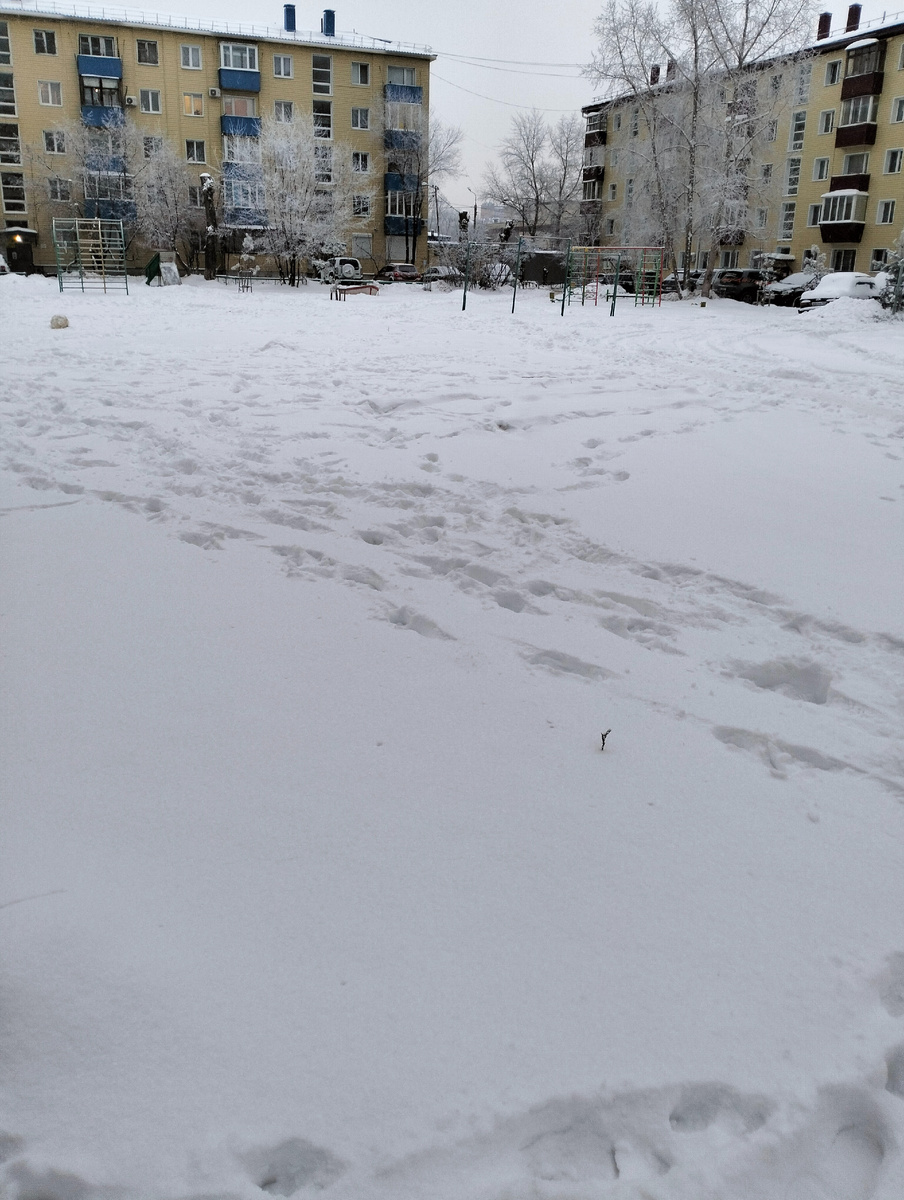 Белое безмолвие.