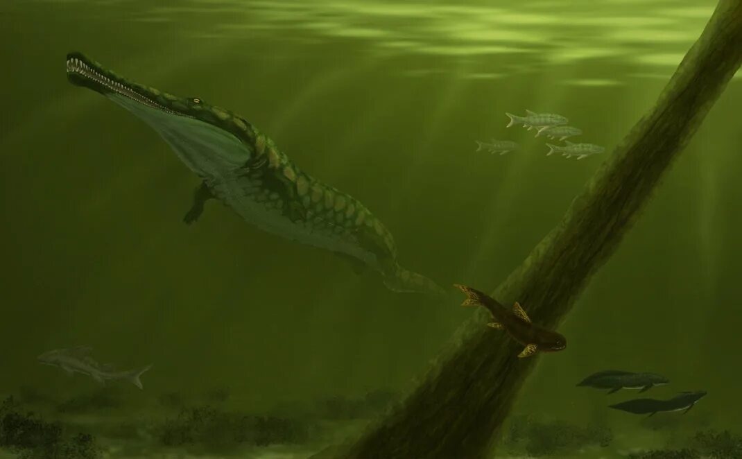 - Ты в мои реки лучше не суйся братан, съем.